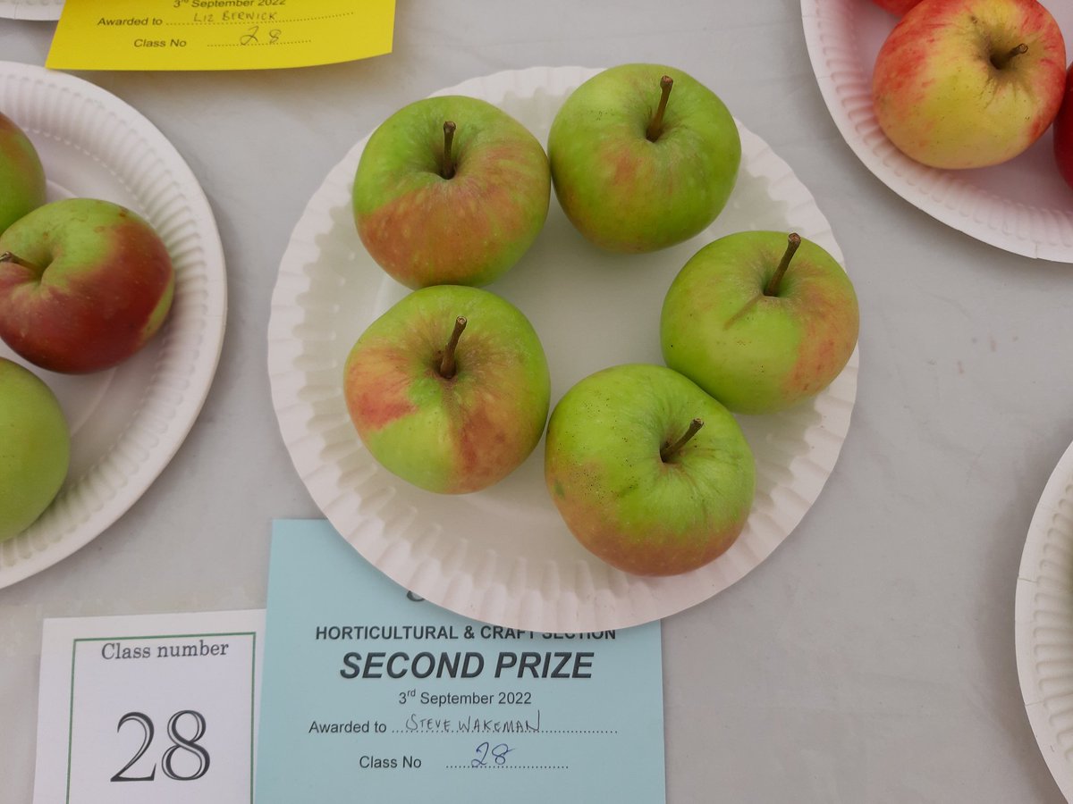 @HydeHives We do #English apples <a href="/eccleshallshow/">Eccleshall Show</a>