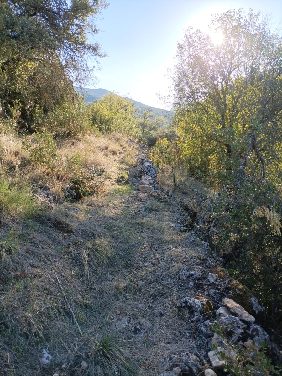 alsolsona's tweet photo. Antiguo camino de acceso a #Alsamora, hace poco intransitable.
Ahora vuelve a estar accesible y se puede recorrer gracias a @PepArdiaca i Joan, que lo han dejado así de bien !!!!
Agradecido su esfuerzo que nos permite disfrutarlo a todos.
#PuebloVivo
#PallarsJussà
#MundoRural https://t.co/RCxZBwQlKX