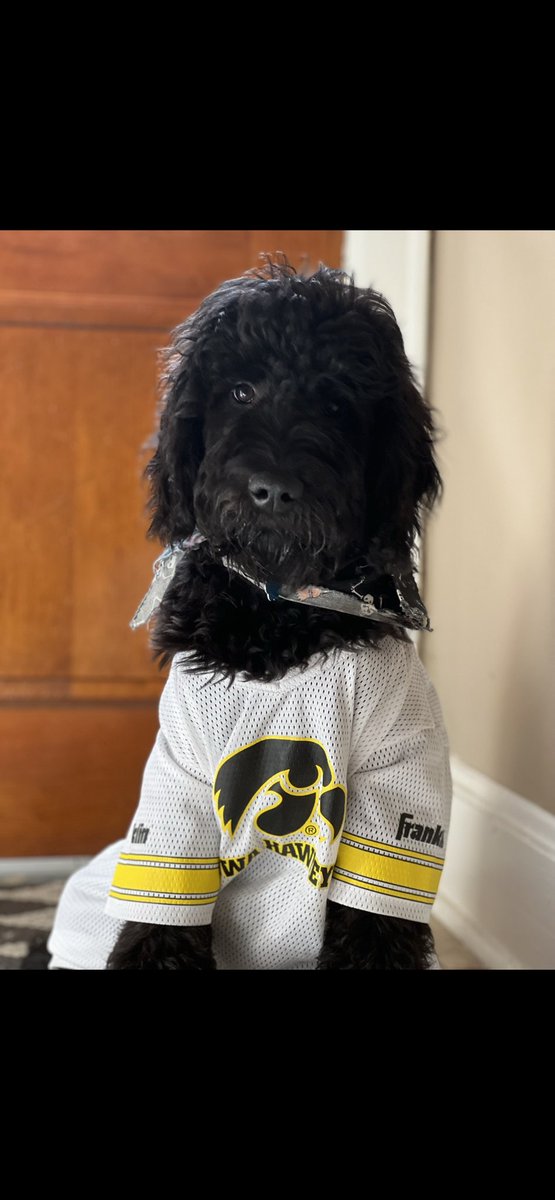 colinpgould's tweet photo. Hawkeyes #1 fan is excited about the 1-0 start to the season! #skawks @HawkeyeFootball @IowaFBLive https://t.co/5VbP4pJWJR