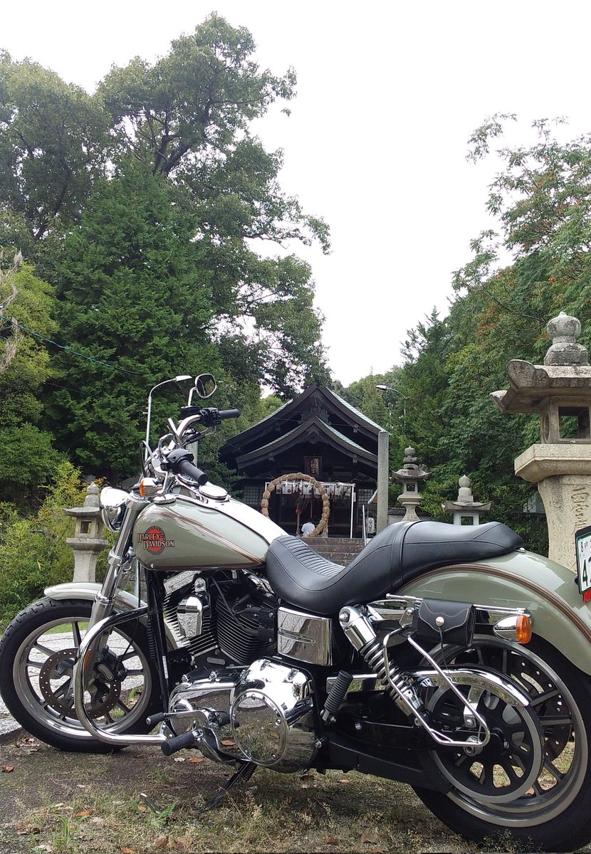 k_works's tweet photo. 名前:kimi
性別:♀
住み:広島県
好き:ハンドメイド
　　 バイク(ﾄﾞﾗｯｸﾞｽﾀｰ250)
　　(2013FXDLﾀﾞｲﾅﾛｰﾗｲﾀﾞｰ)
　　 エスニック、小鳥、パクチー
#バイク乗りとして軽く自己紹介
#バイク女子と繋がりたい
#バイク好きと繋がりたい 
#バイク乗りと繋がりたい
#ドラッグスター
#FXDL https://t.co/DWX2sY83hN