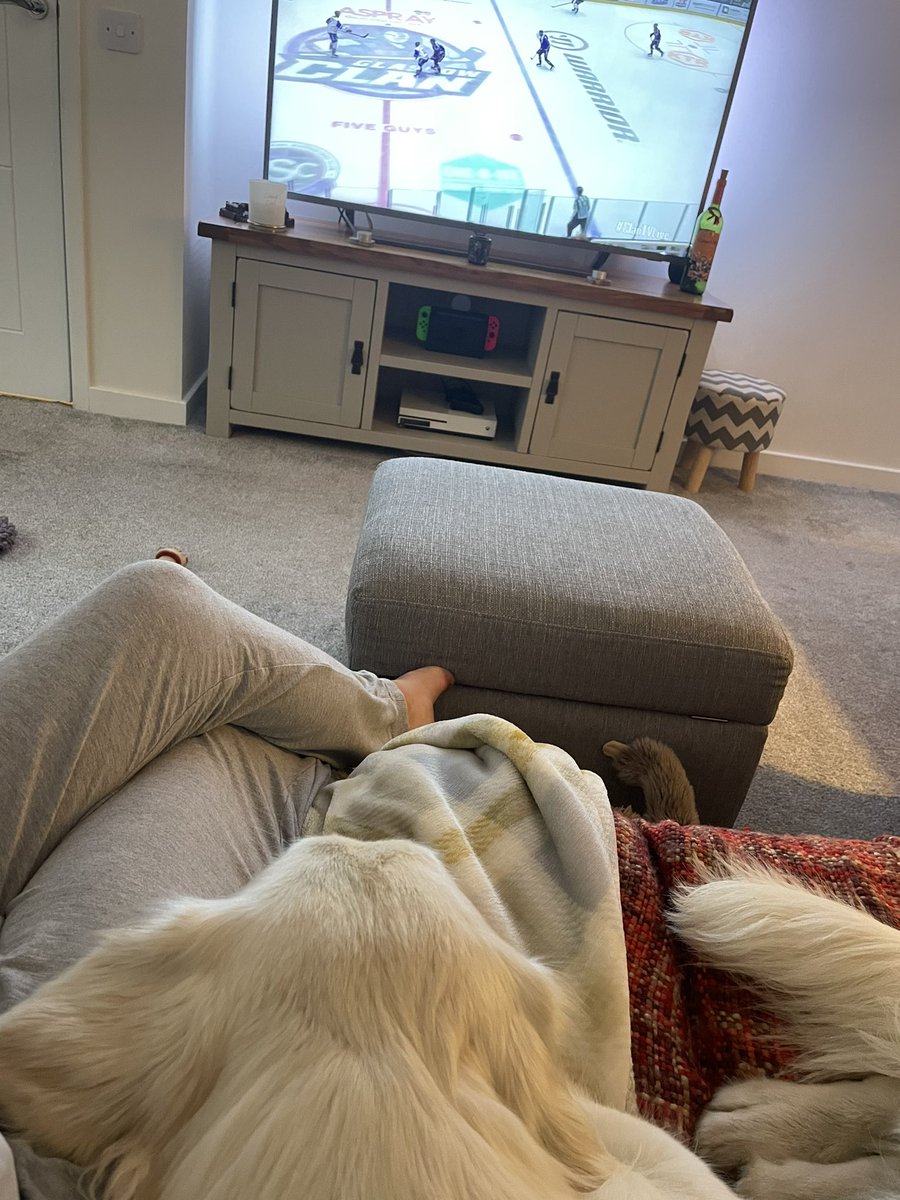 KirstyMc64's tweet photo. Dexter enjoying watching the hockey #goclan #clantvlive #clanpets https://t.co/f2E4Ozg9es