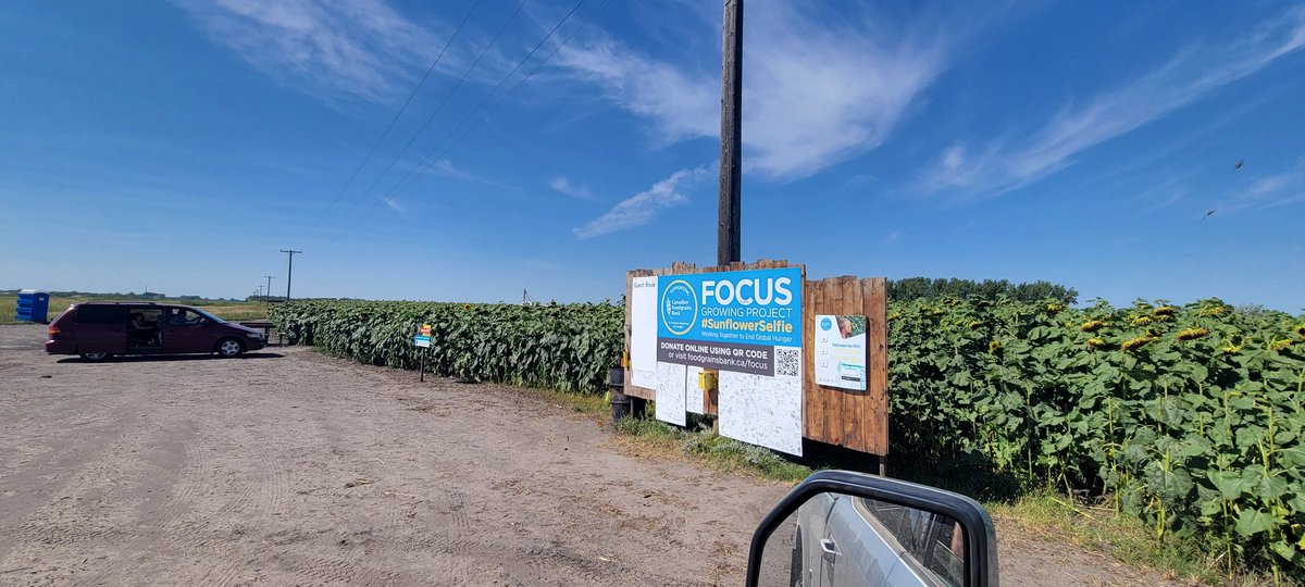 Focusfields's tweet photo. People are still stopping by this long weekend and still finding late blooming flowers to take home. Past prime for photos but still a place to stop and stretch for the travellers. https://t.co/j52nwURVeQ