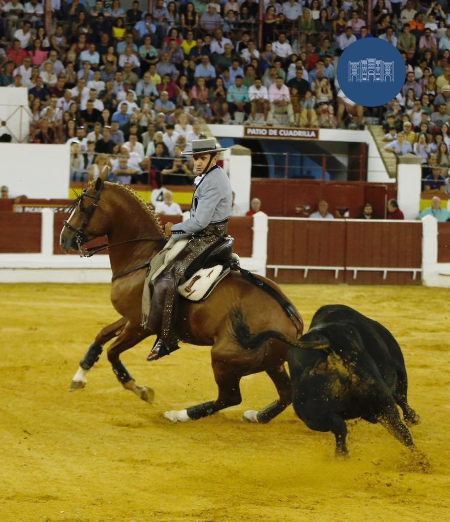 merida_toros's tweet photo. 📸 DOS OREJAS para Diego Ventura en el 1️⃣ de la noche #Merida22
📆 3 de septiembre 🐂 Los Espartales #ElToreoEterno
@InfoDVentura
@firma_arjona https://t.co/4e5cYxQjN0