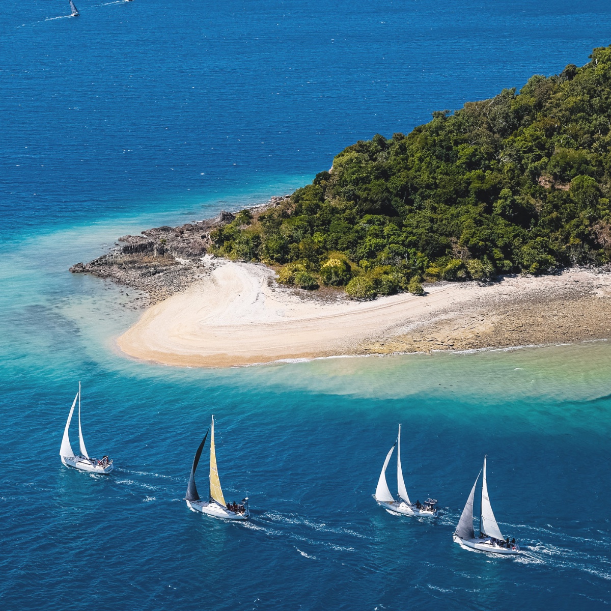 Australia's tweet photo. Hey, @HamiltonIsland, do you believe in love at first sight, or should we sail by again? ⛵
Last week, @Queensland's @WhitsundaysQLD played host to #Australia's largest offshore sailing regatta, #HamiltonIslandRaceWeek.
#seeaustralia #thisisqueensland #HIRW https://t.co/oZbh7aKuNQ