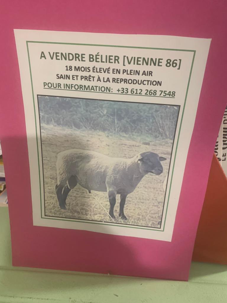 Ghislaine Halpenny tweet media