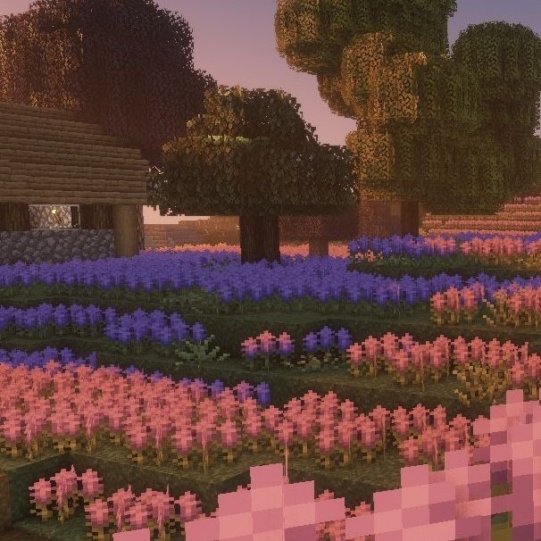 ᓚᘏᗢ ⋆ ࣪.  mods que tenemos en nuestro server de minecraft pe!⠀─ ﹆ ゚  ࣭   ۫