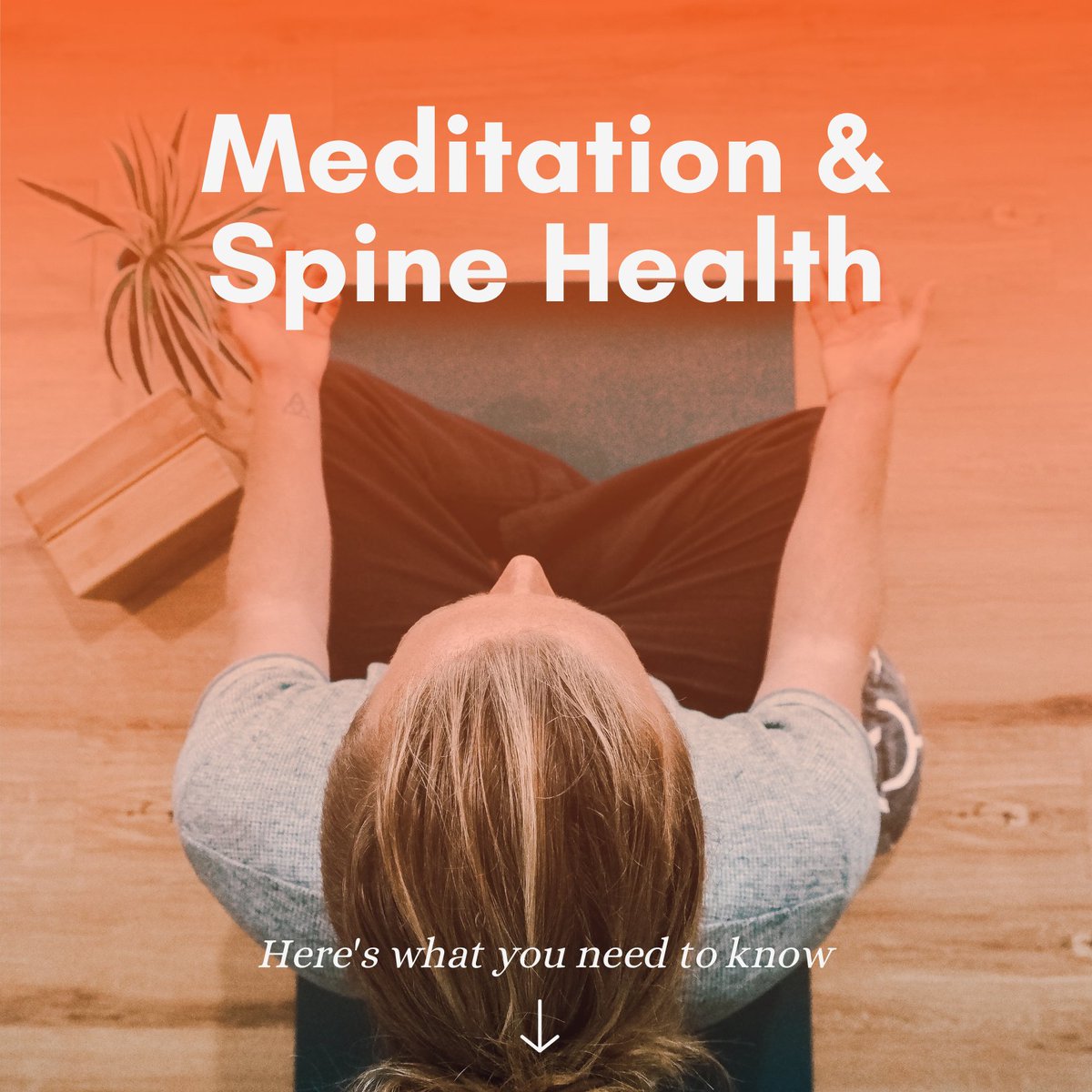 Golden Gate Spine (Dr. Kim) tweet media