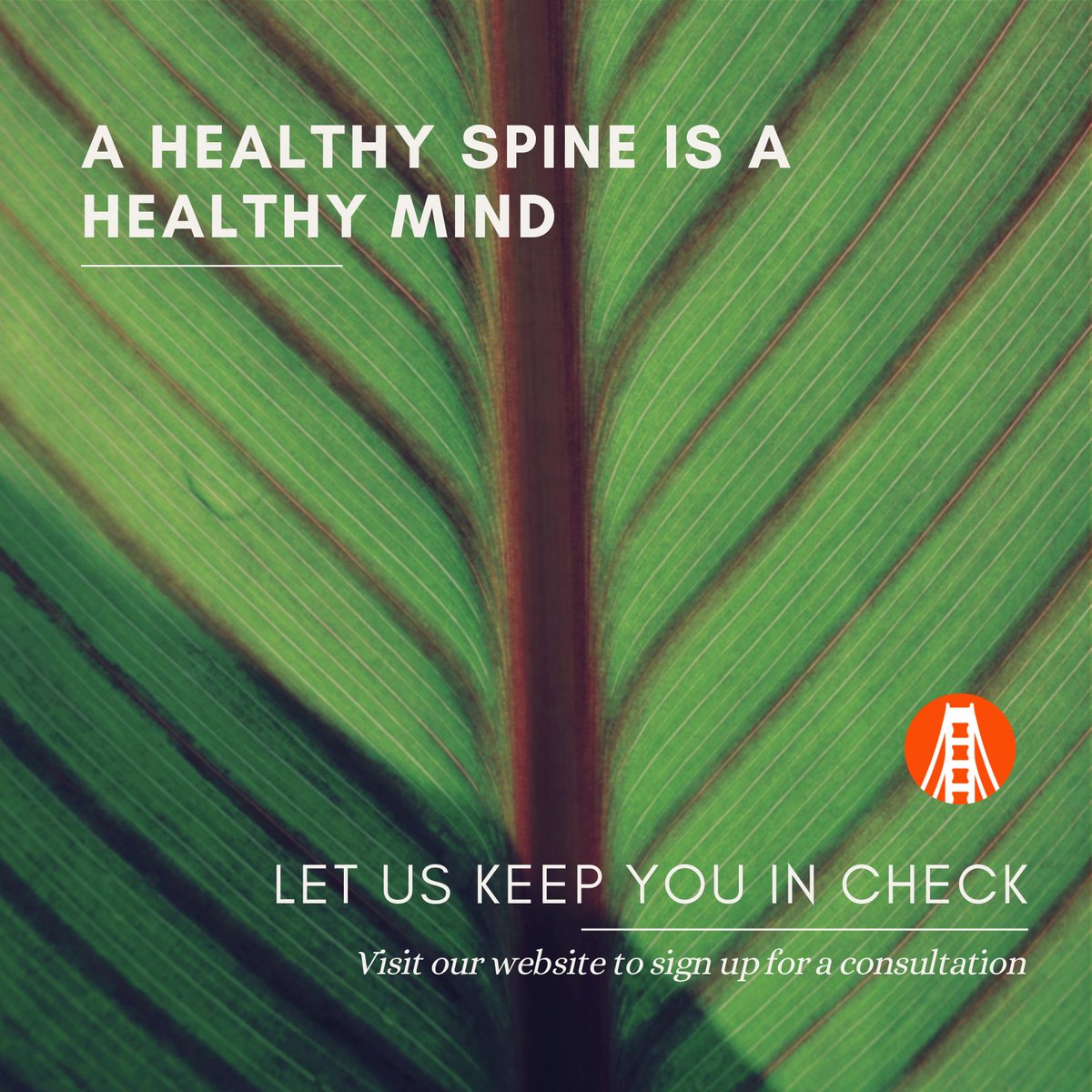 Golden Gate Spine (Dr. Kim) tweet media