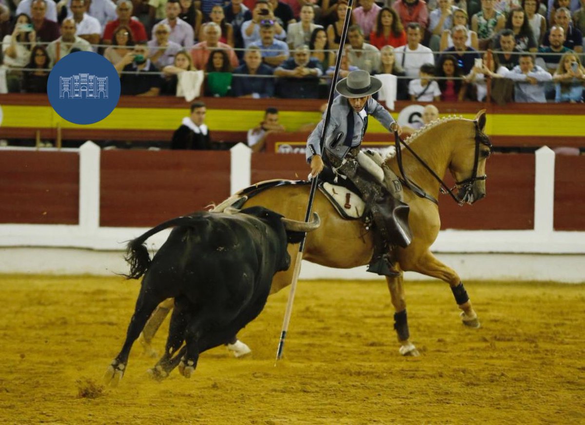 merida_toros's tweet photo. 📸 SILENCIO para Diego Ventura en el 2️⃣ de la noche #Merida22
📆 3 de septiembre 🐂 Murteira Grave #ElToreoEterno
@InfoDVentura
@firma_arjona https://t.co/7Jx96QBHY9