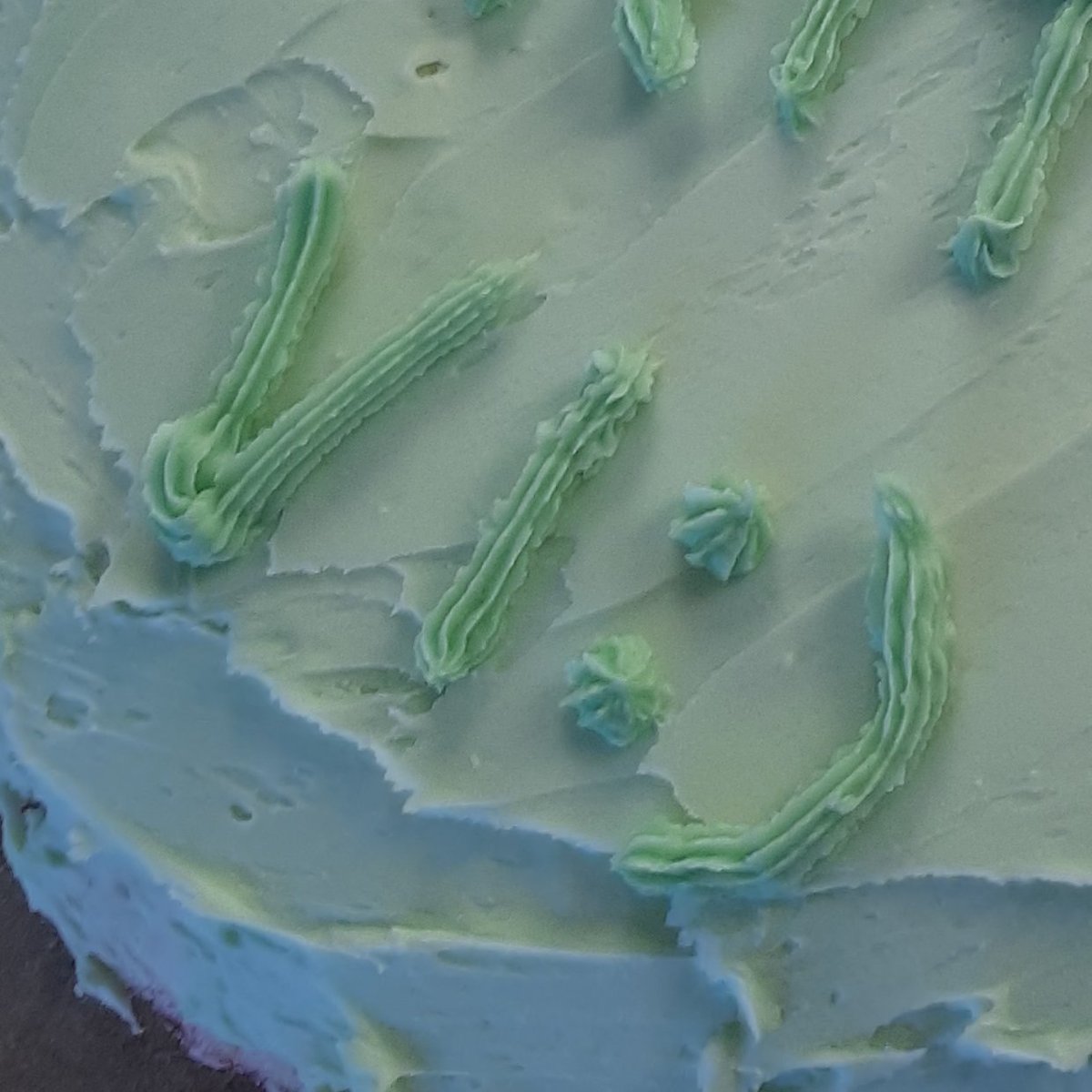 veefigrief's tweet photo. Thick ass frosting https://t.co/hBDk5IvQHm