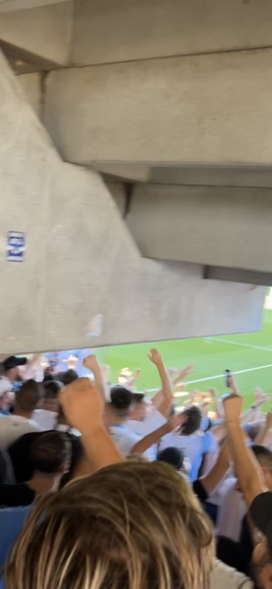 colinho 🇧🇷 tweet media