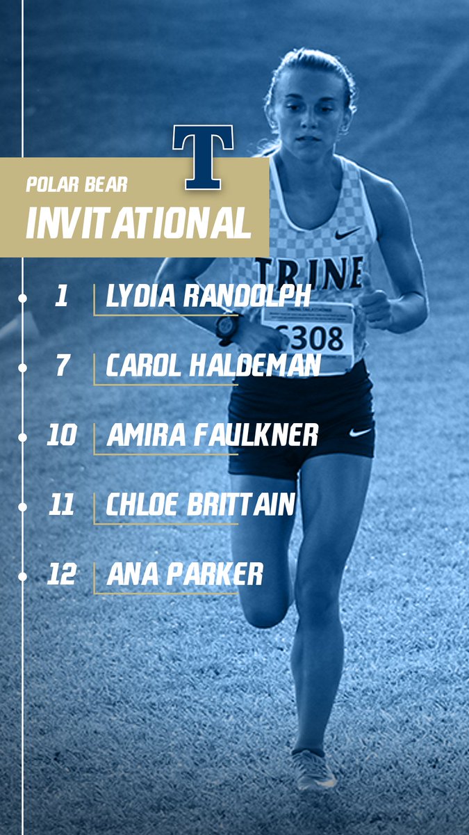 Trine Thunder tweet media