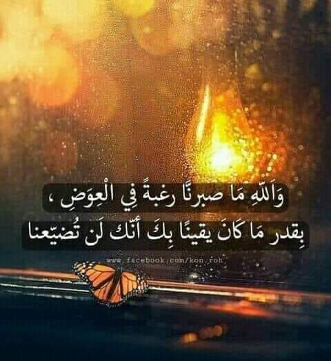 #_بِـ_الـمُنَاسَبَـــة

،

أيقنتُ أن أعظم شعور يجتاح قلبك أثناء ابتلاءك 
💥"شعور المعيّة"💥
 يبعث الله لك الرسائل والأشخاص على هيئة إلهام ربّاني! 
فإذا يئست وجدت كل الأحداث تُخاطبك وكل الآيات تعنيك وتواسيك 

،