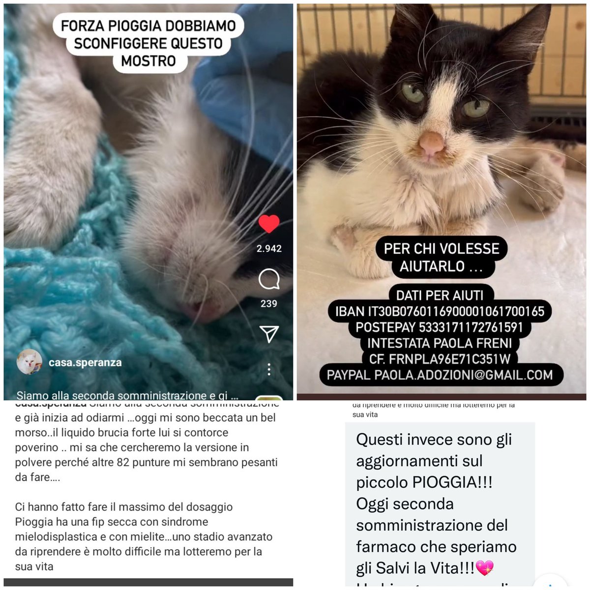 Annamaria Cardelli On Twitter RT Emilystellaemi2 FORZA PIOGGIA 