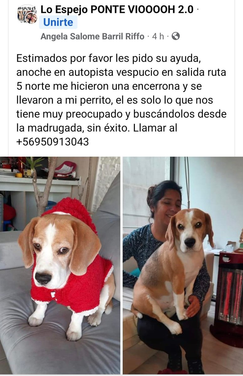 Se busca a este Orejon Robado anoche en una Encerrona..😪😪
<a href="/bartorell/">#SoyBartorell</a>
