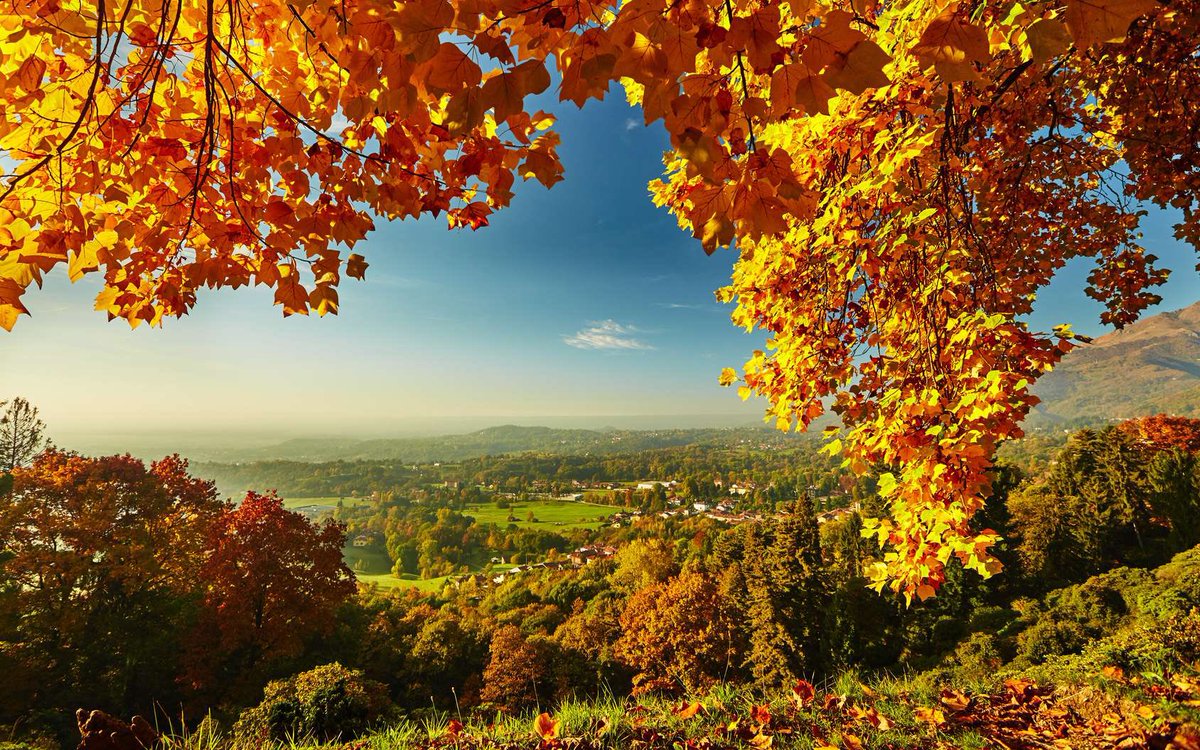 sailevrai's tweet photo. Les deux meilleures saisons de l’année arrivent à grands pas, j’ai nommé l’Automne et l’Hiver, soit vous êtes d’accord, soit vous avez tort https://t.co/HjB0S0zWSt