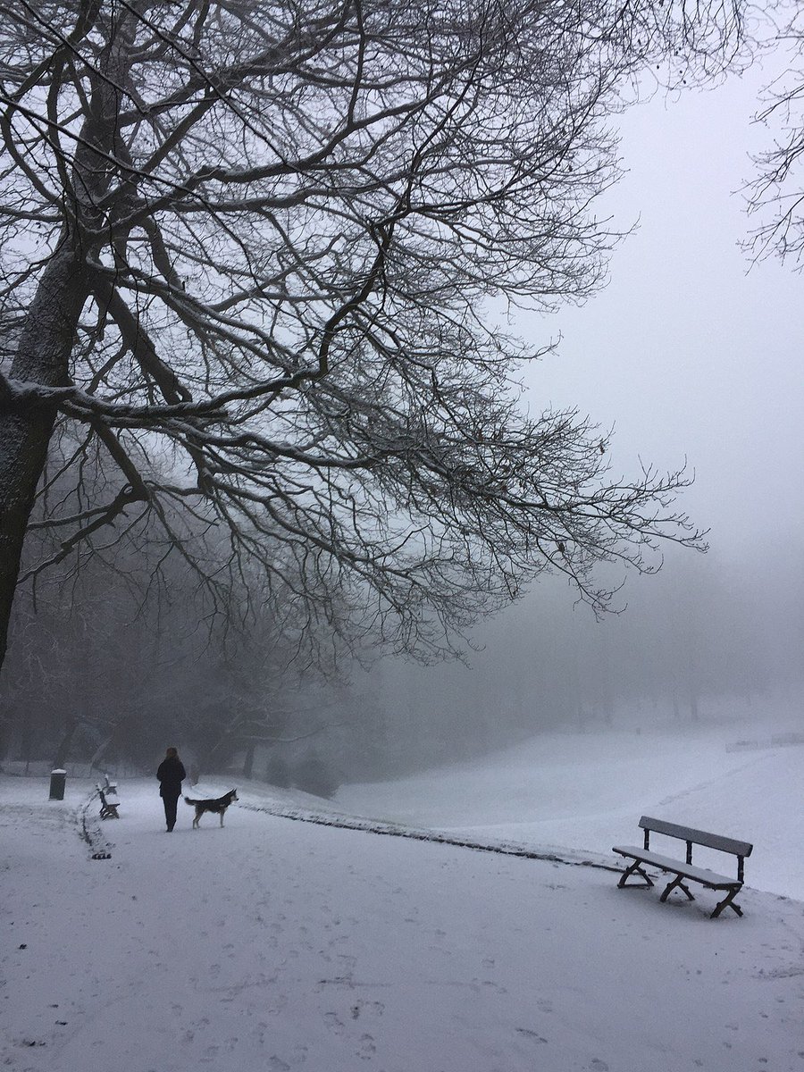 sailevrai's tweet photo. Les deux meilleures saisons de l’année arrivent à grands pas, j’ai nommé l’Automne et l’Hiver, soit vous êtes d’accord, soit vous avez tort https://t.co/HjB0S0zWSt