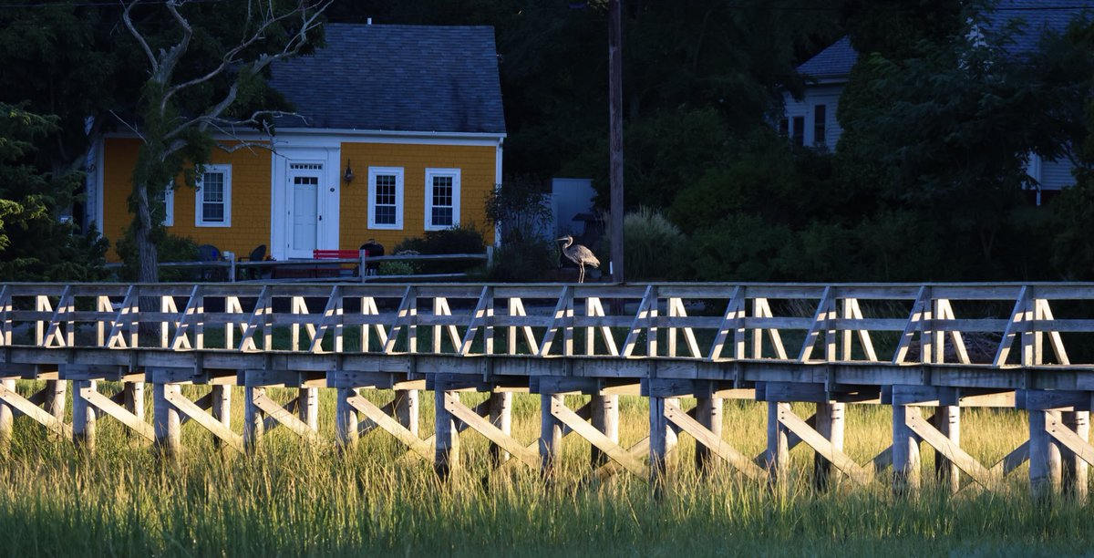 petermarteka's tweet photo. “Who's that tripping over my bridge…Well, I'm coming to gobble you up.” #GBHtroll #UncleTimsBridge #Wellfleet https://t.co/vqpGngA6Yn