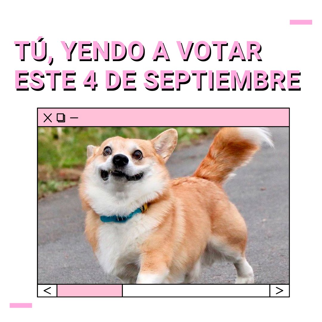 factcheckingcl's tweet image. 📢Mañana es el gran día, recuerda llevar tu cédula de identidad (puede estar vencida a contar del 1 de octubre de 2019) o pasaporte, lápiz pasta azul, mascarilla y alcohol gel. 

#PlebiscitoConstitucional #NuevaConstitucionParaChile