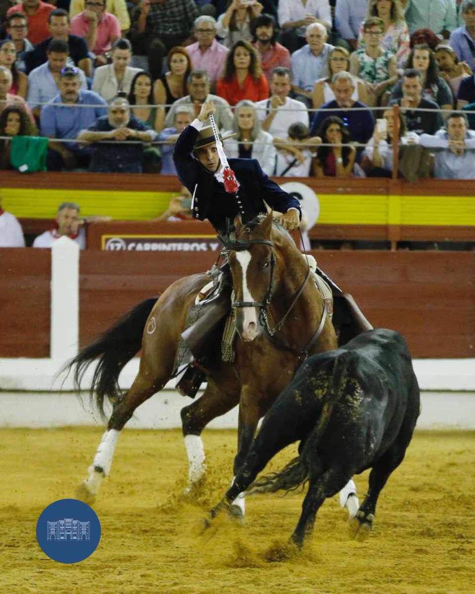 merida_toros's tweet photo. 📸 OREJA para Diego Ventura en el 4️⃣ de la noche #Merida22
📆 3 de septiembre 🐂 Ángel Sánchez #ElToreoEterno
@InfoDVentura
@firma_arjona https://t.co/jC0V0KzcAR