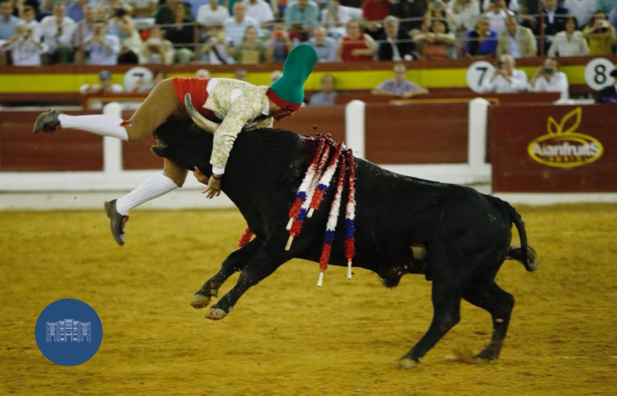 merida_toros's tweet photo. 📸 OREJA para Diego Ventura en el 4️⃣ de la noche #Merida22
📆 3 de septiembre 🐂 Ángel Sánchez #ElToreoEterno
@InfoDVentura
@firma_arjona https://t.co/jC0V0KzcAR
