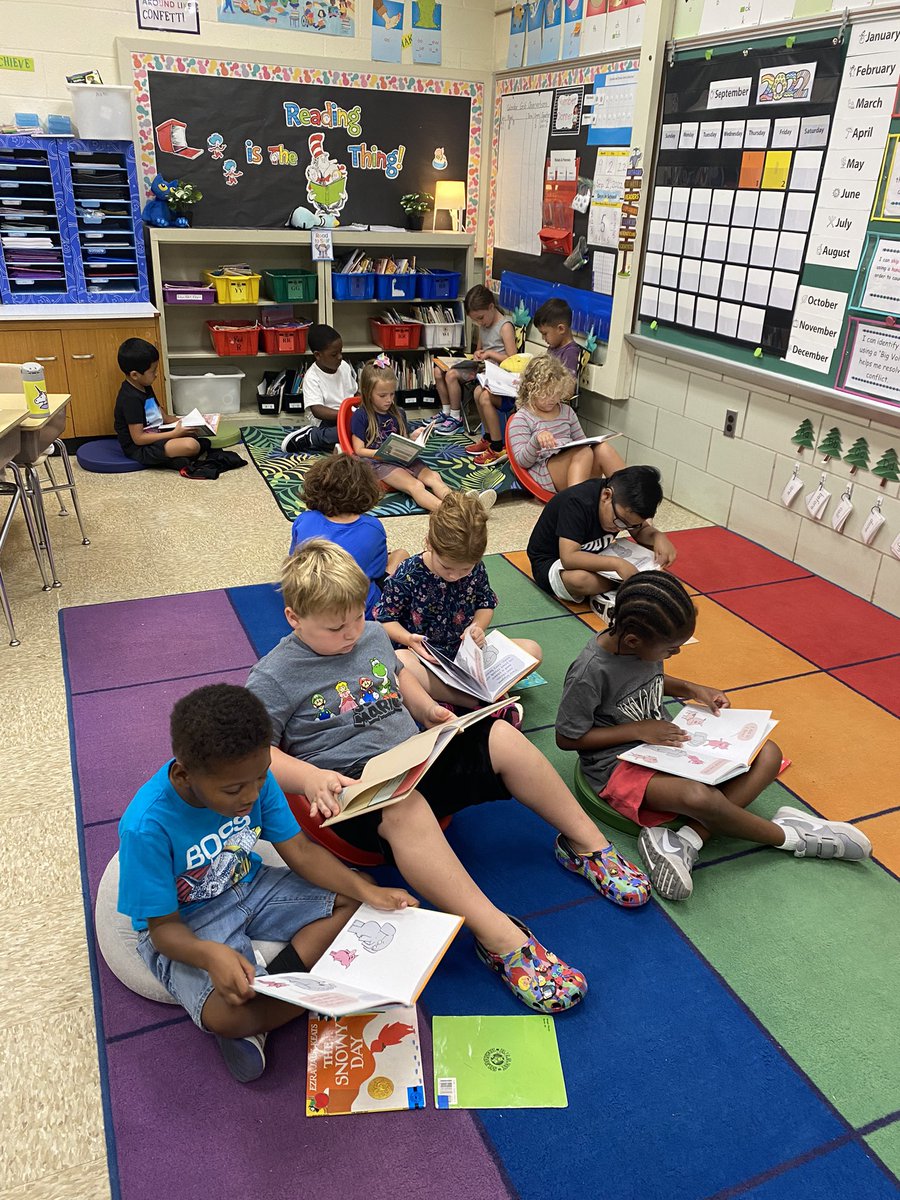 Rachel Noto tweet media