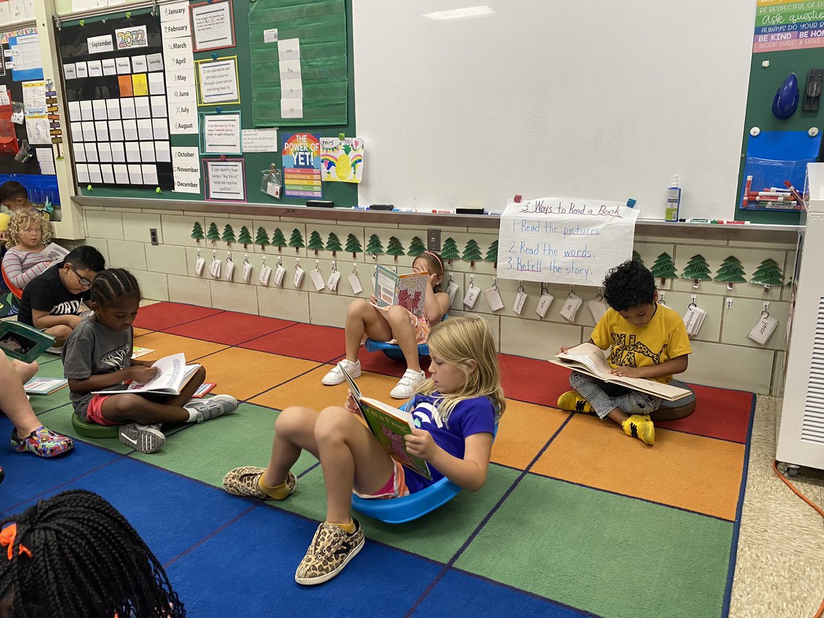 Rachel Noto tweet media