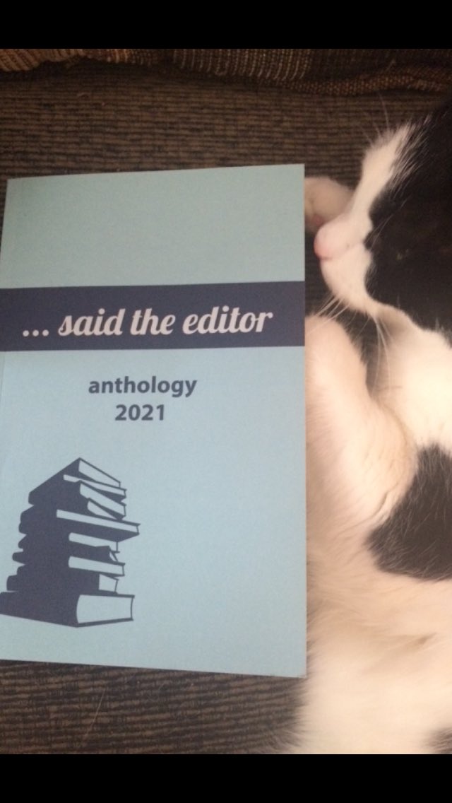 Enjoyed reading and learning from this indispensable resource for #writers and #editors, created by teacher/editors, Ava ⁦⁦@AvaSafran⁩ and Noosha ⁦@ravaghi⁩. ✍🏻I look forward to reading and practicing the wisdom of the upcoming 2022 edition. #WritingCommunity👈🏻