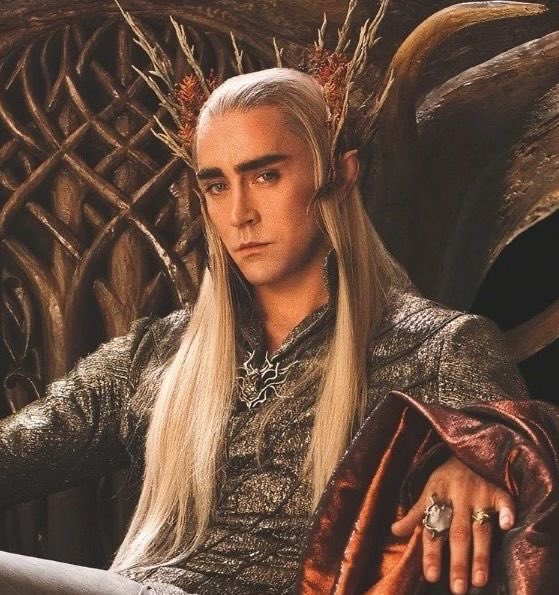everqlows's tweet photo. no idea what’s going on in power of the rings i’m just waiting for him https://t.co/aaqju3mJmH
