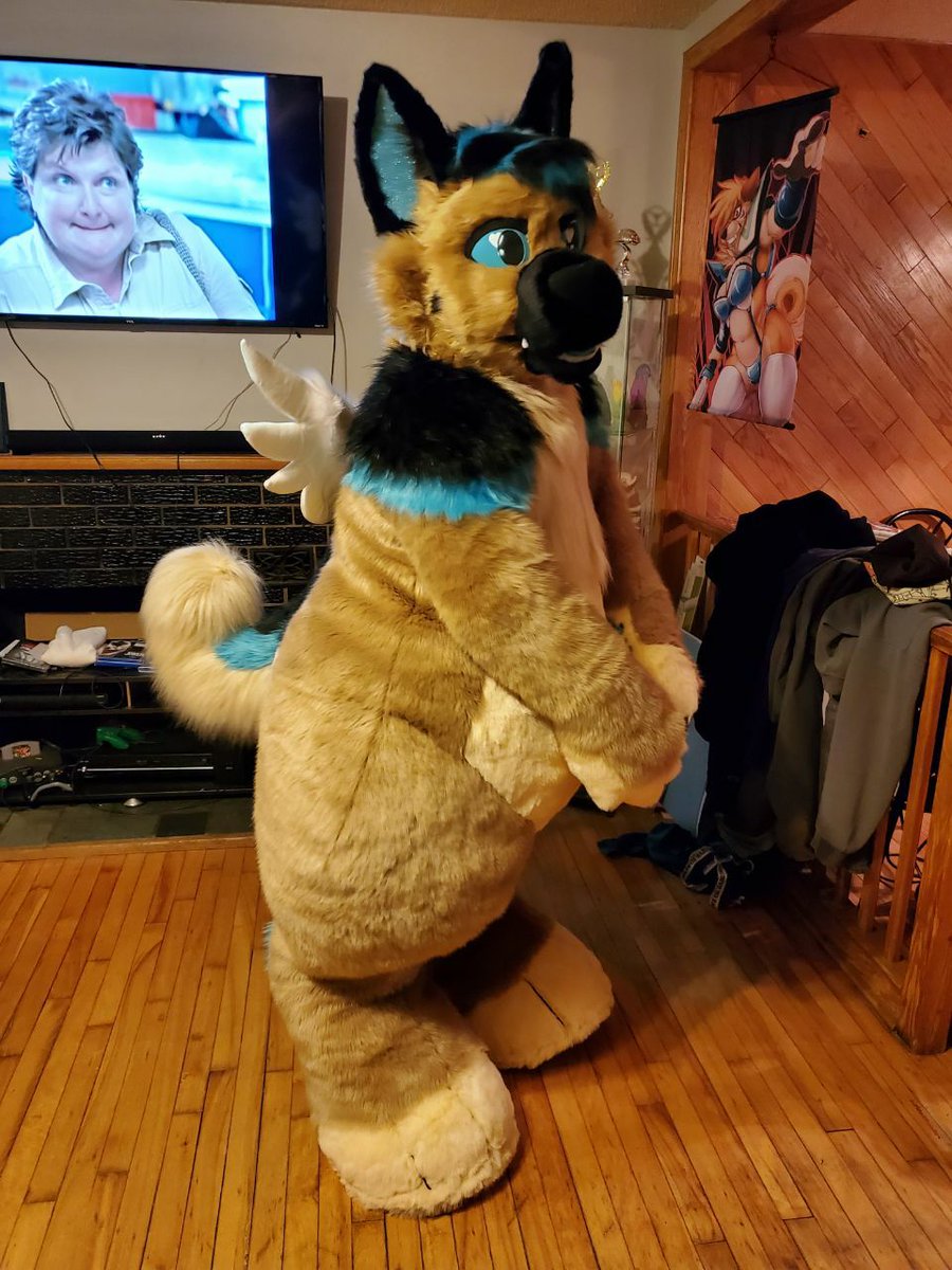 tammylolee's tweet photo. The first plushsuit made by @plush_army  is for sell. Who want to become a cute G-shep? 💙💙💙

https://t.co/p4cWh6Dlb4 https://t.co/PxPSSH4Tff