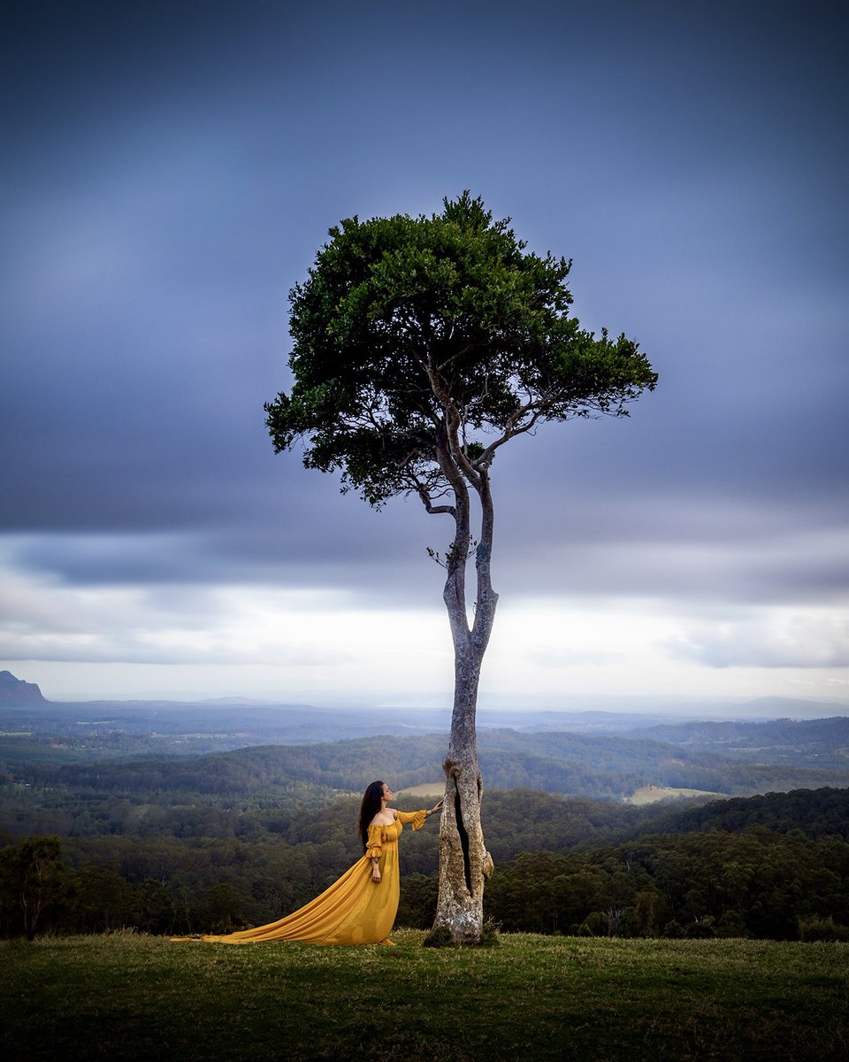 SarahLyndsay tweet media