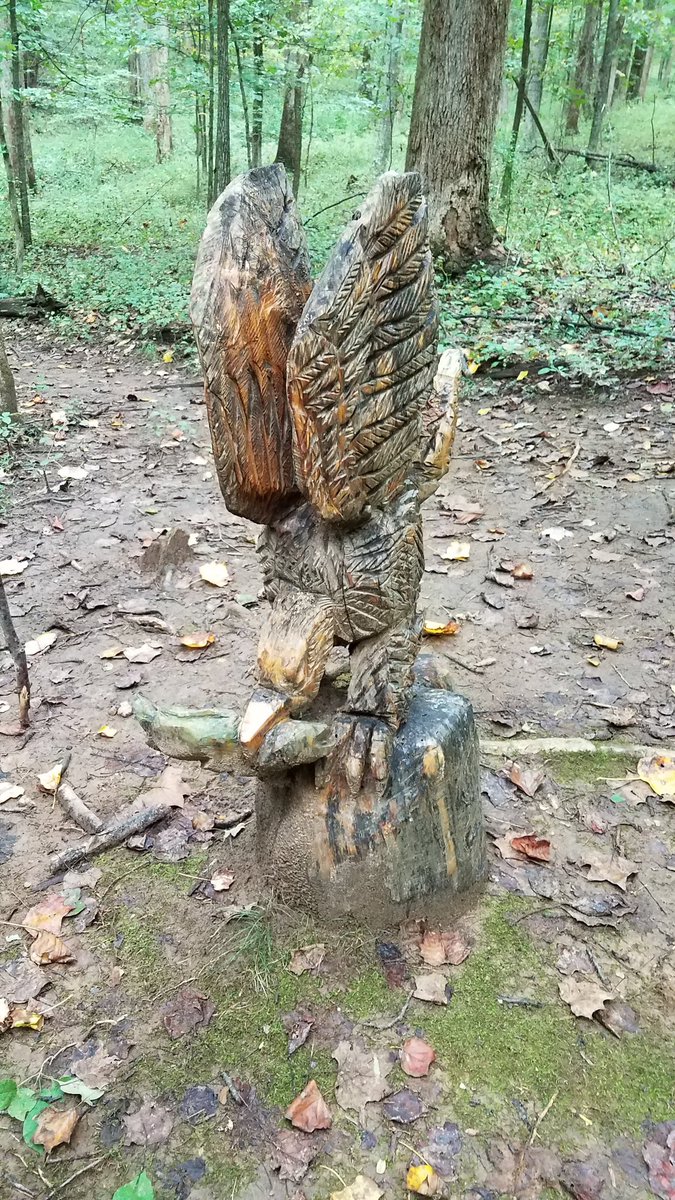 mega_dibbs_md's tweet photo. @AnneMillsMD @AndrewBiesemier @selveras_stains @path_nat @LeGalloMD @basophil_brett @SMayMD @missDoctorZ @srishtigpath @AkritiGuptaMD Turtles, bears, birds - oh my! https://t.co/5b8AQKsv2o