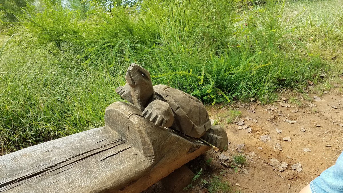 mega_dibbs_md's tweet photo. @AnneMillsMD @AndrewBiesemier @selveras_stains @path_nat @LeGalloMD @basophil_brett @SMayMD @missDoctorZ @srishtigpath @AkritiGuptaMD Turtles, bears, birds - oh my! https://t.co/5b8AQKsv2o
