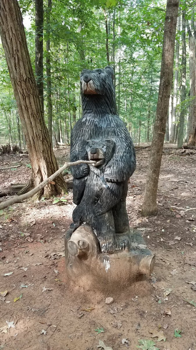 mega_dibbs_md's tweet photo. @AnneMillsMD @AndrewBiesemier @selveras_stains @path_nat @LeGalloMD @basophil_brett @SMayMD @missDoctorZ @srishtigpath @AkritiGuptaMD Turtles, bears, birds - oh my! https://t.co/5b8AQKsv2o