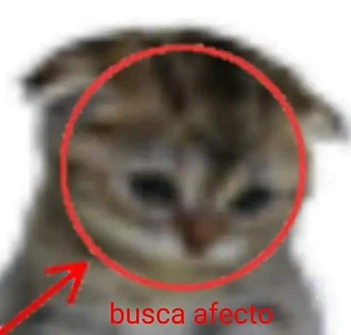 minionas new era (@ccminionashot) on Twitter photo 