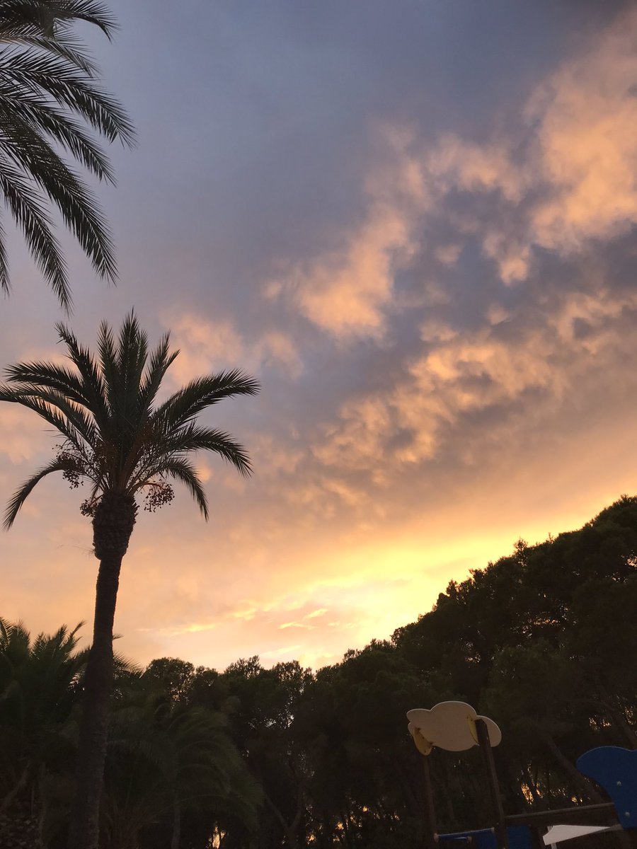 BecTonksArt's tweet photo. Gorgeous skies… after almost two weeks I’m still not sure I’m ready to leave this beauty spot ❤️🌅 #dowehavetogohome #Paradise https://t.co/Cukiaq2syP