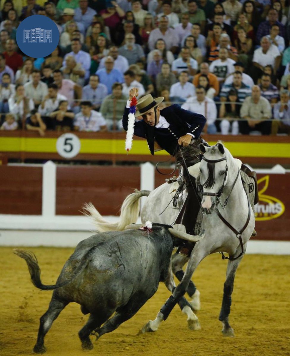 merida_toros's tweet photo. 📸 DOS OREJAS Y RABO para Diego Ventura en el 5️⃣ de la noche #Merida22
📆 3 de septiembre 🐂 Victorino Martín #ElToreoEterno
@InfoDVentura
@firma_arjona https://t.co/wMFC0rWWLW