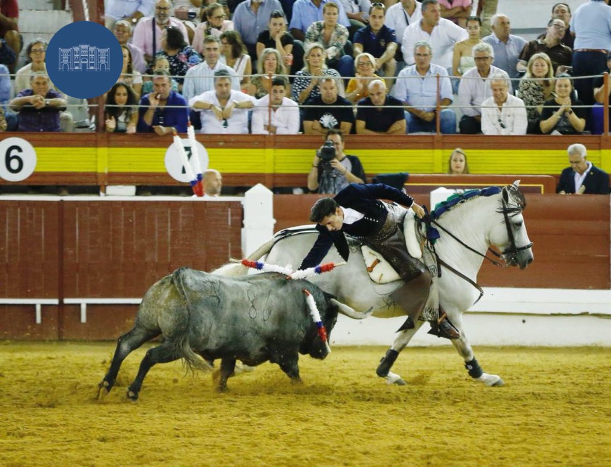 merida_toros's tweet photo. 📸 DOS OREJAS Y RABO para Diego Ventura en el 5️⃣ de la noche #Merida22
📆 3 de septiembre 🐂 Victorino Martín #ElToreoEterno
@InfoDVentura
@firma_arjona https://t.co/wMFC0rWWLW