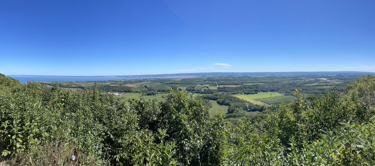 Jeremy Ruggles tweet media