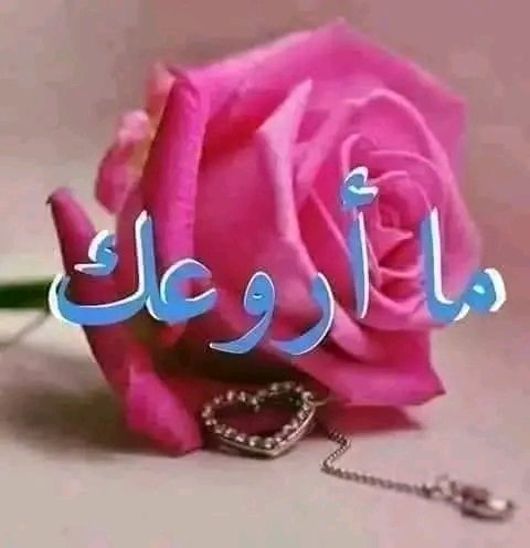 ShwafN's tweet photo. @Lily64252774 https://t.co/nzAk65eLEH