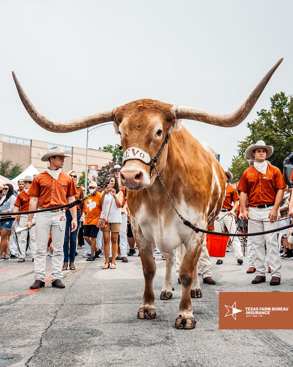 Texas Longhorns tweet media