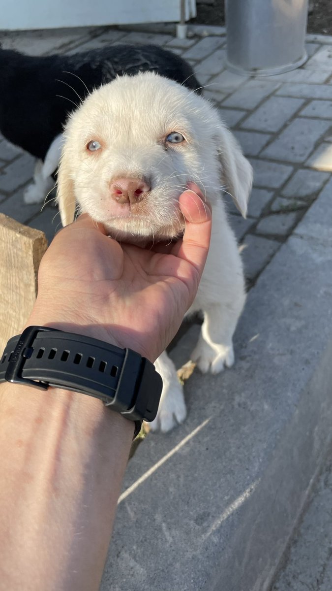 Gözleri ömre bedel 🫶