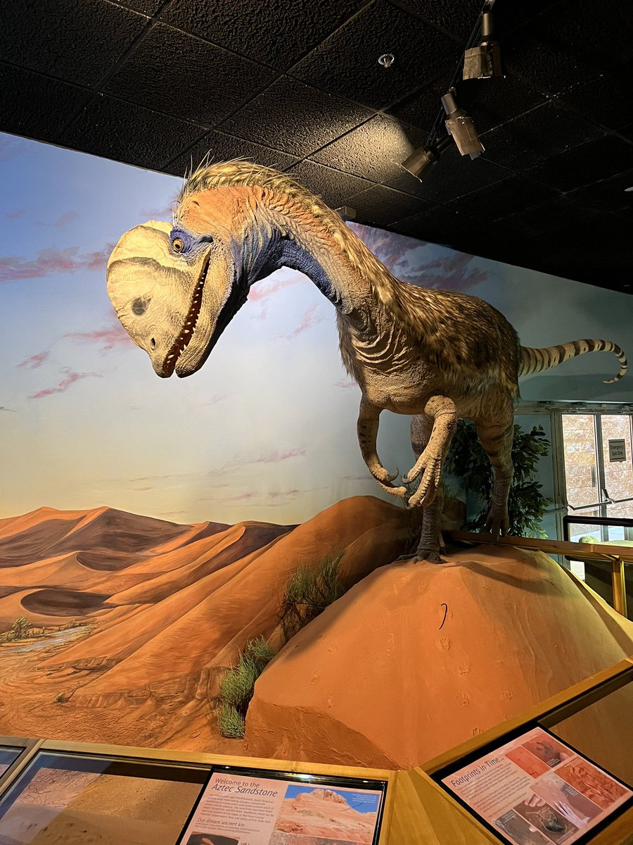 Grace Varnham tweet media