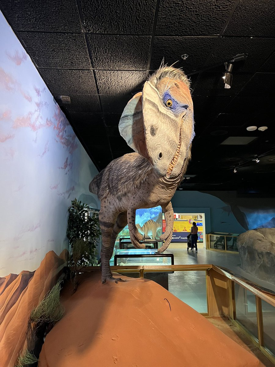 Grace Varnham tweet media