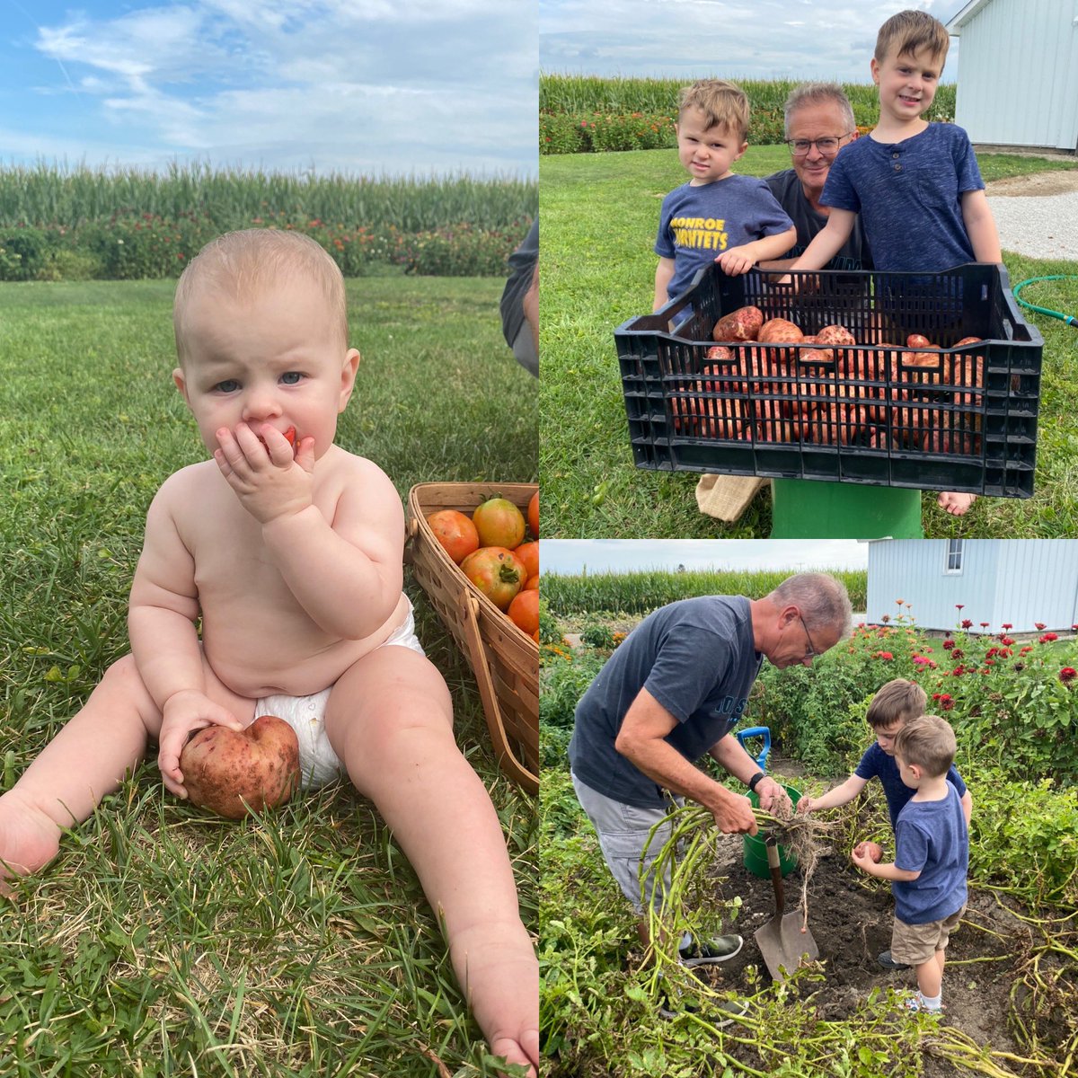 TonyMHR's tweet photo. Quick trip to the farm. The family picking some veggies for dinner 🍽#indiana #Farming https://t.co/dKgIiCIY57