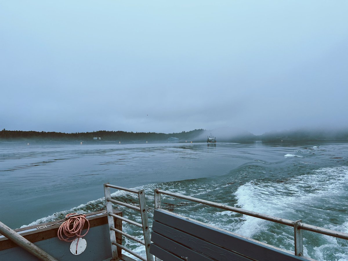 tessafortn's tweet photo. Just finished a great #OUPFB course with @pjmensink at the @HuntsmanMarine ! Had an amazing two weeks of tide pools, plankton trawls, boat rides, and foggy mornings 🌊 https://t.co/OFK7ovJMaj