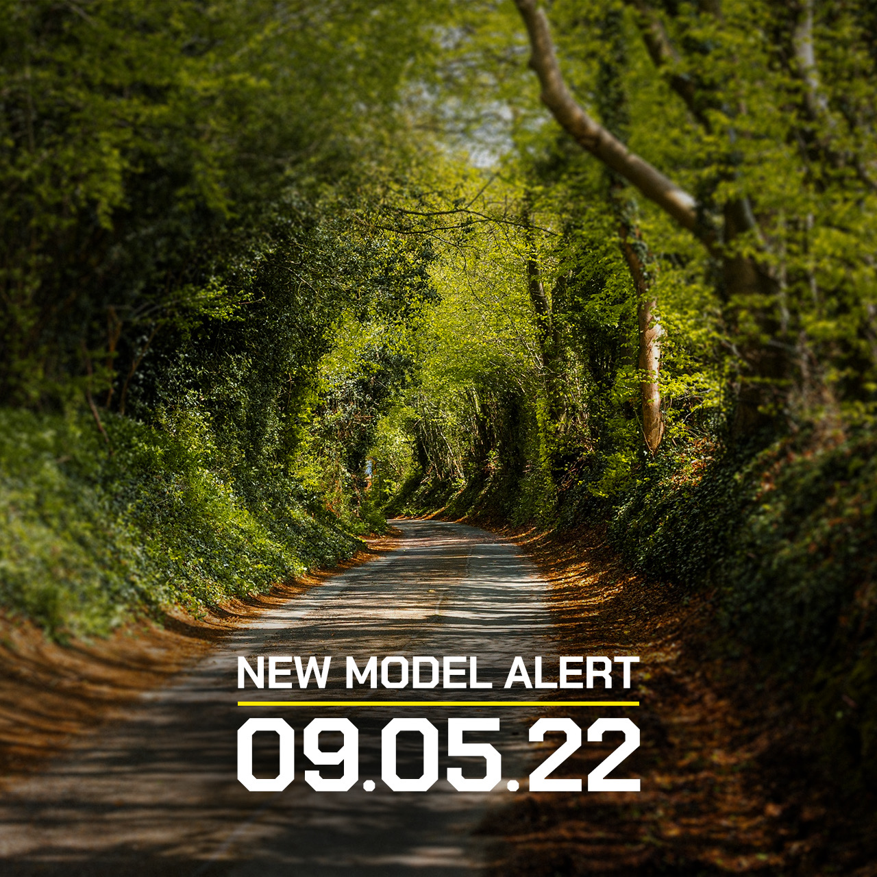 Is Your Suzuki 4Wd Model Ready For This? (Check Now!) - wo2kqnu