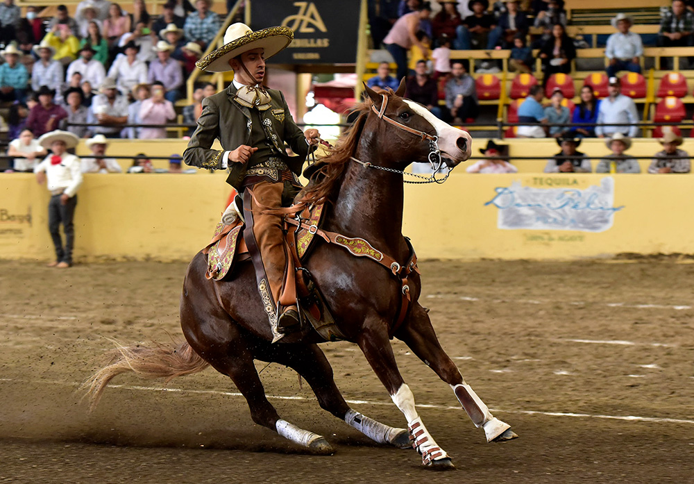 millonariothv's tweet photo. Tres Potrillos tienen botín y medio en la final del #CampeonatoMillonarioTHV #CategoríaAAA #TradiciónMillonaria

https://t.co/fDBRrkQkyu https://t.co/7njDAayNnZ
