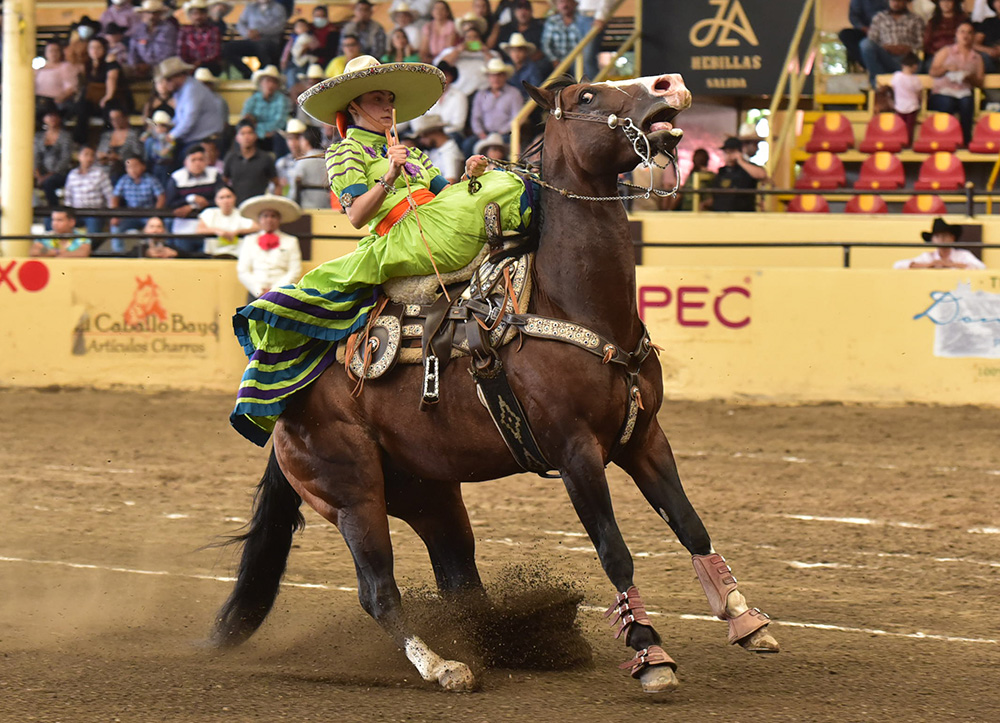 millonariothv's tweet photo. Tres Potrillos tienen botín y medio en la final del #CampeonatoMillonarioTHV #CategoríaAAA #TradiciónMillonaria

https://t.co/fDBRrkQkyu https://t.co/7njDAayNnZ