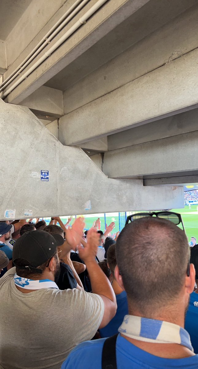 colinho 🇧🇷 tweet media